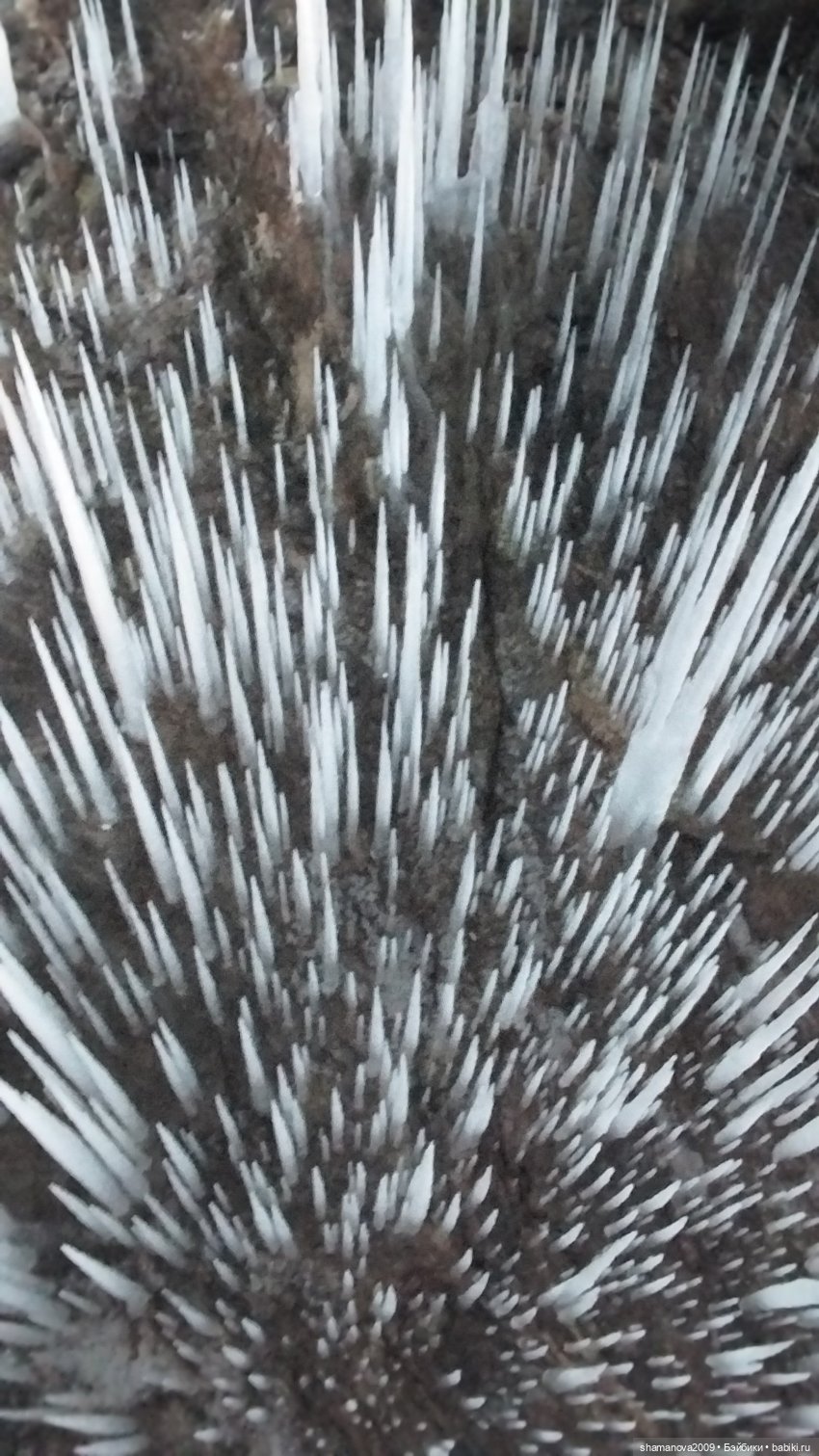 Поездка на Мраморный карьер в Бугульдейке и на Хивусах вокруг Ольхона (Байкал)