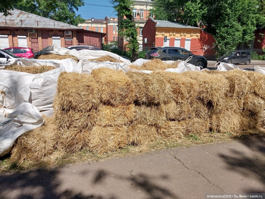 Фестиваль арт-объектов из соломы на набережной Иркутска