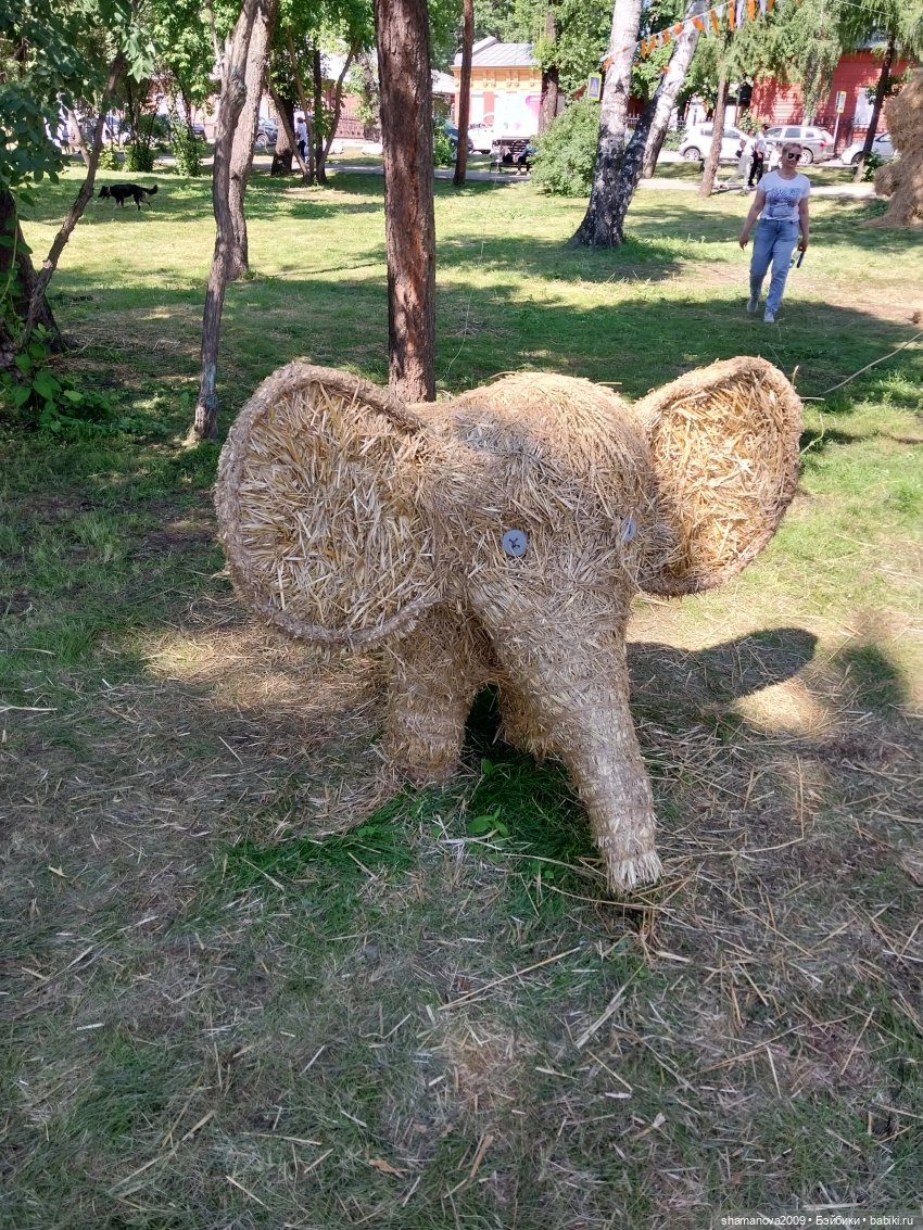 Фестиваль арт-объектов из соломы на набережной Иркутска (фото 8)