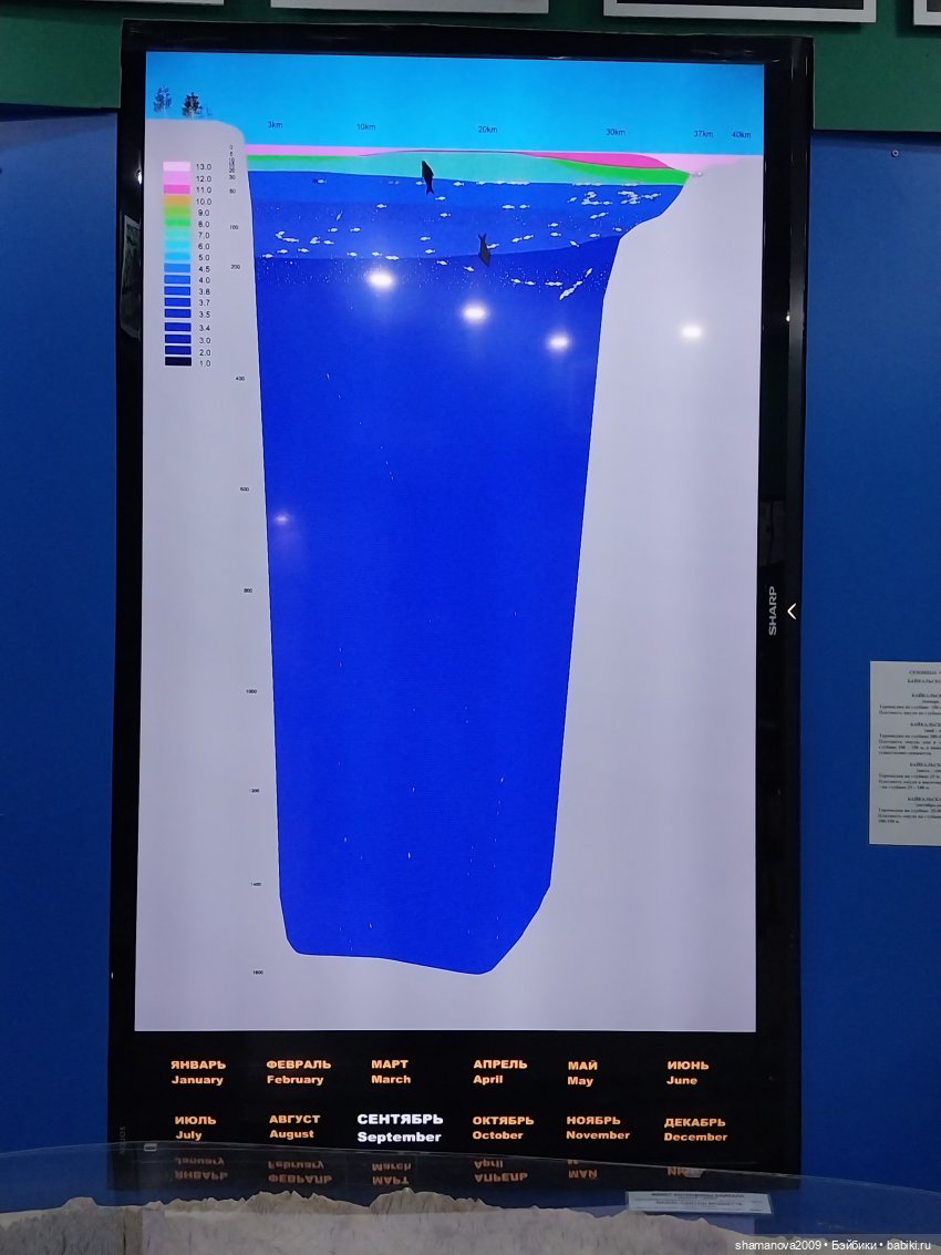 Байкальский музей (п. Листвянка) (фото 8)