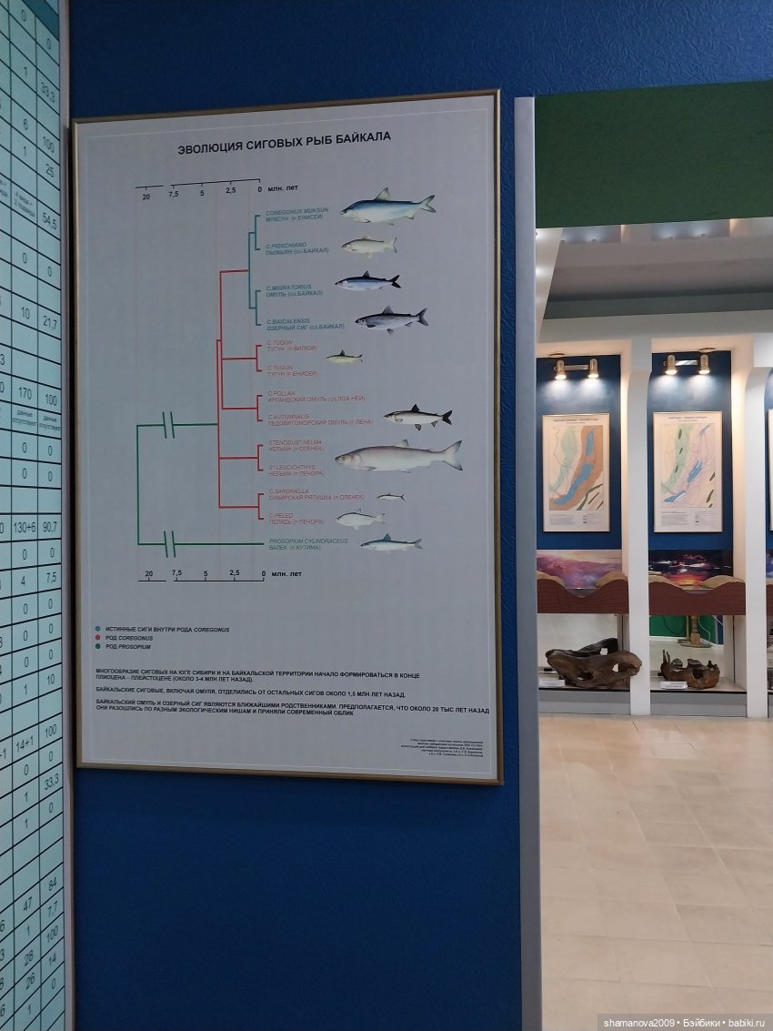 Байкальский музей (п. Листвянка)