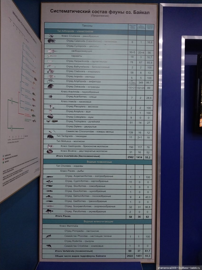 Байкальский музей (п. Листвянка)