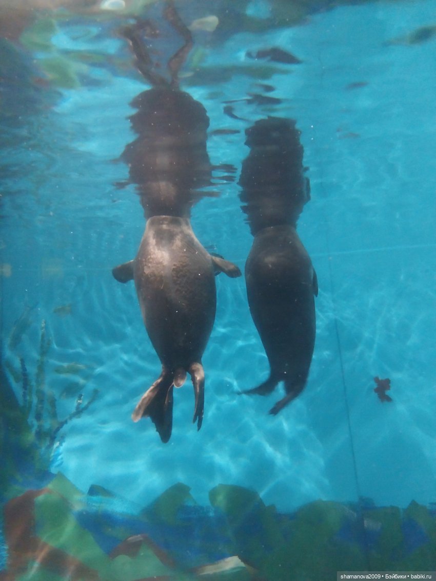 Байкальский музей (п. Листвянка)