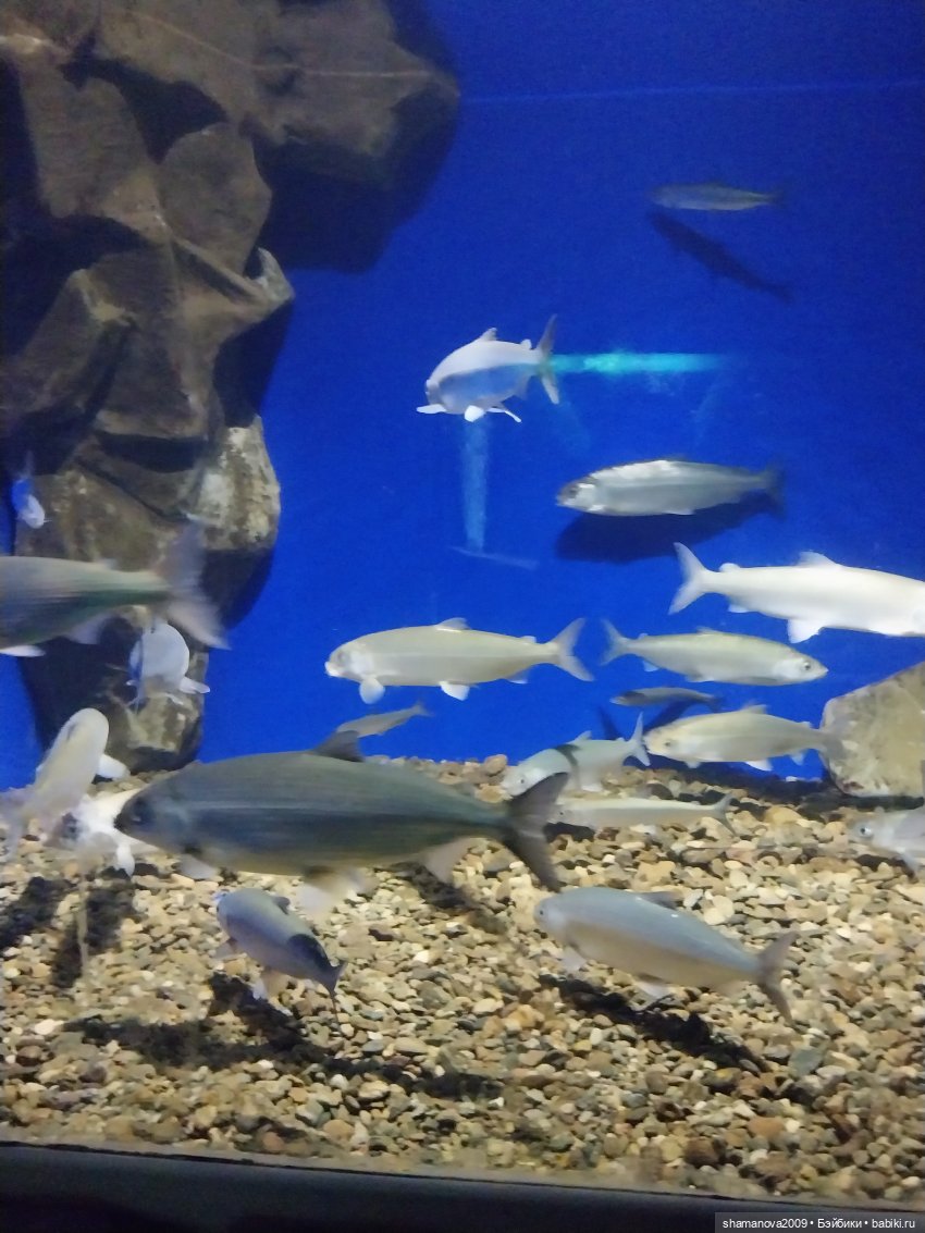 Байкальский музей (п. Листвянка)