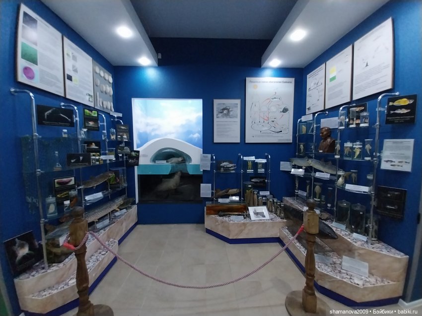 Байкальский музей (п. Листвянка) (фото 10)