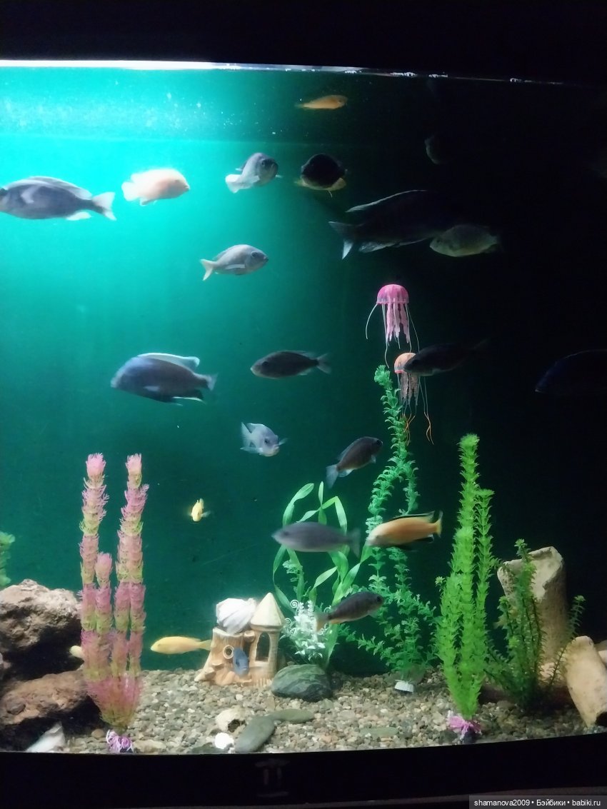 Байкальский музей (п. Листвянка)