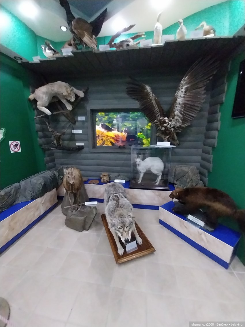 Байкальский музей (п. Листвянка)