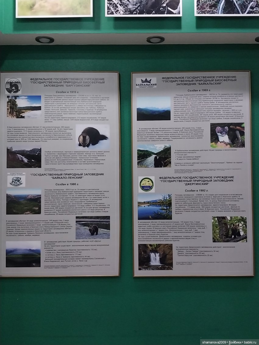 Байкальский музей (п. Листвянка) (фото 7)