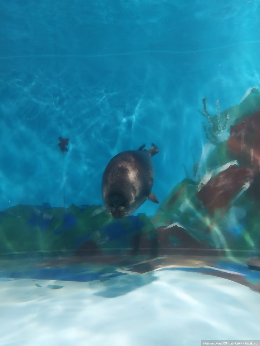 Байкальский музей (п. Листвянка)