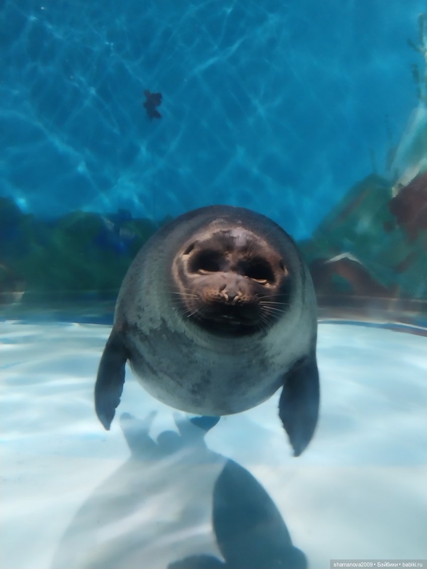 Байкальский музей (п. Листвянка)