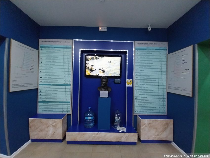 Байкальский музей (п. Листвянка) (фото 4)