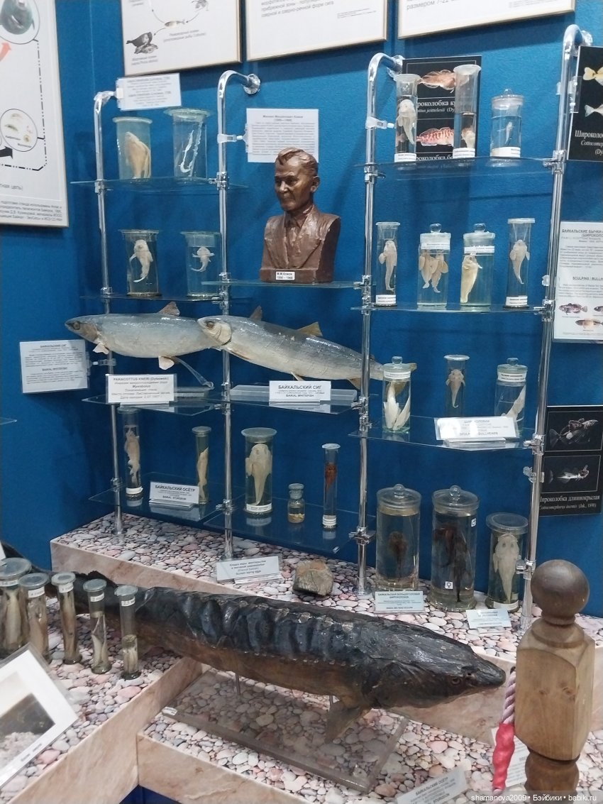 Байкальский музей (п. Листвянка)