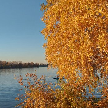 Золотая осень