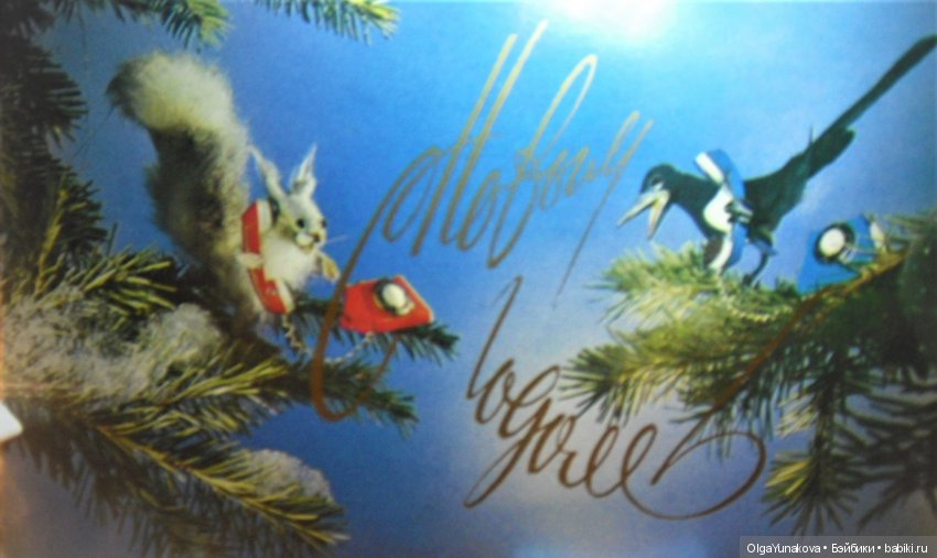 белка сорока телефон белка сорока телефон