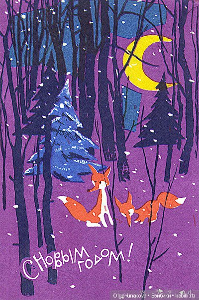 лисички чернятин