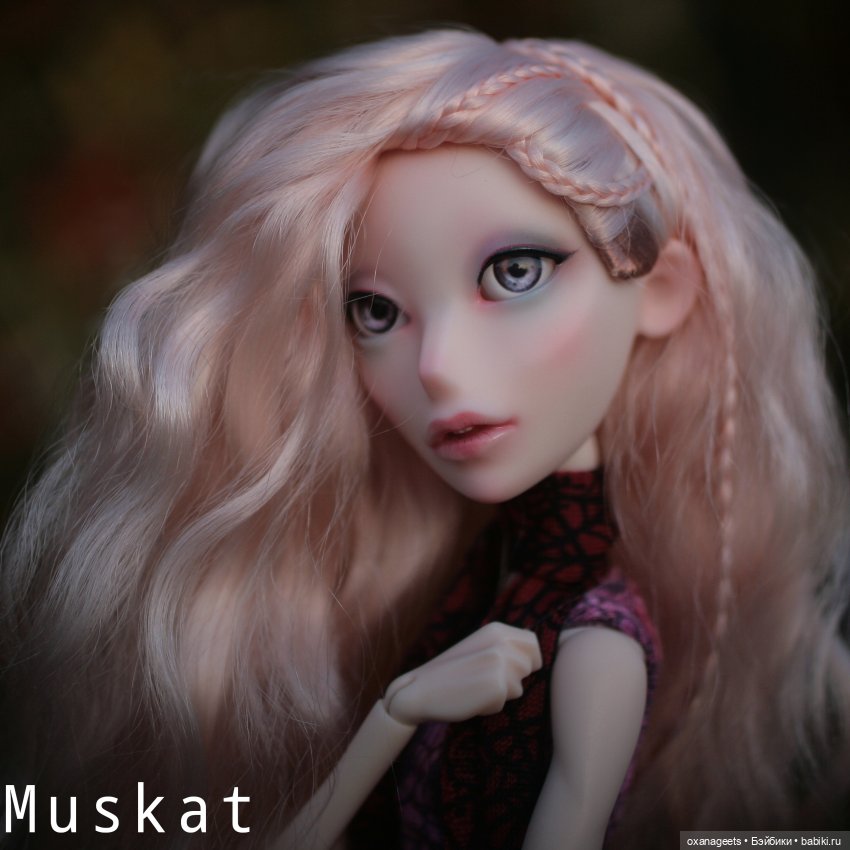 Bardo Research: предзаказ на Мускат и всех-всех-всех (фото 2)