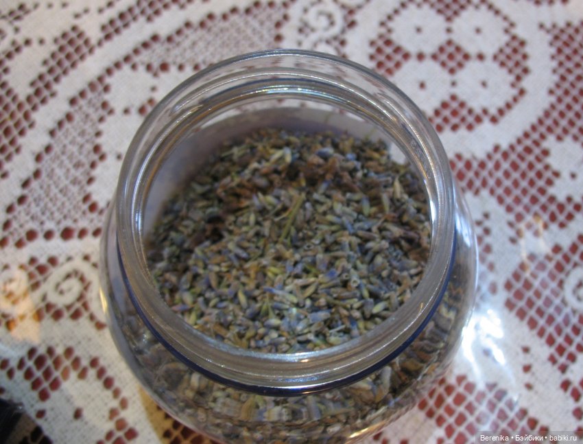 Любите ли вы лаванду так, как люблю ее я (фото 2)