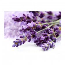 Любите ли вы лаванду так, как люблю ее я