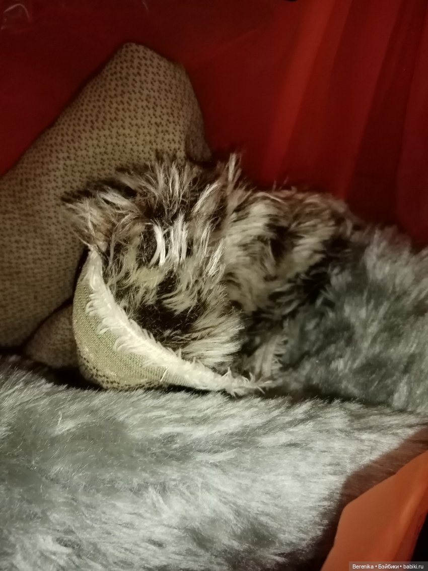 Самостоятельное окрашивание мохера для тедди. Поделитесь советами, плиз (фото 2)