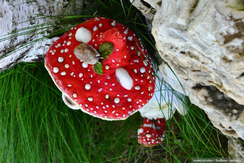 Тедди мишка Мухоморчик — Авторские мишки Тедди и друзья: фото (фото 3)