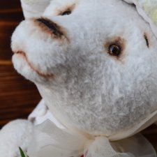 Мухоморчик мишка Тедди на новом фоне