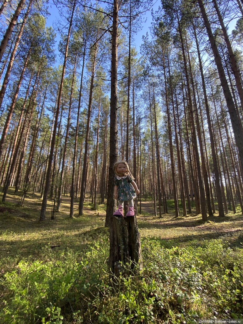 Моя коллекция кукол. Часть 6.1. Куклы Zwergnase. Грэйс (фото 7)