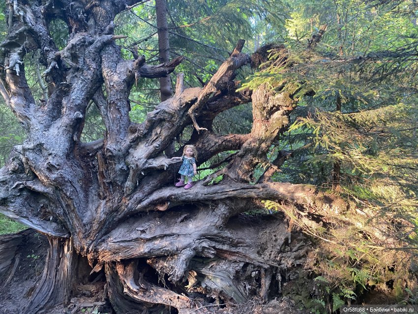 Моя коллекция кукол. Часть 6.1. Куклы Zwergnase. Грэйс (фото 8)