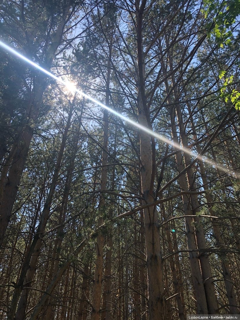 День Защиты детей или прогулка по эко-парку "Гремячая грива" г. Красноярск