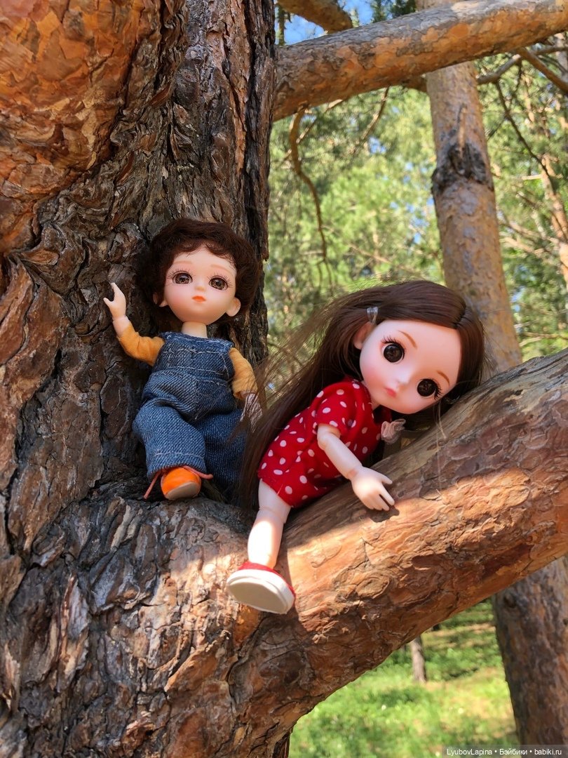 День Защиты детей или прогулка по эко-парку "Гремячая грива" г. Красноярск (фото 5)