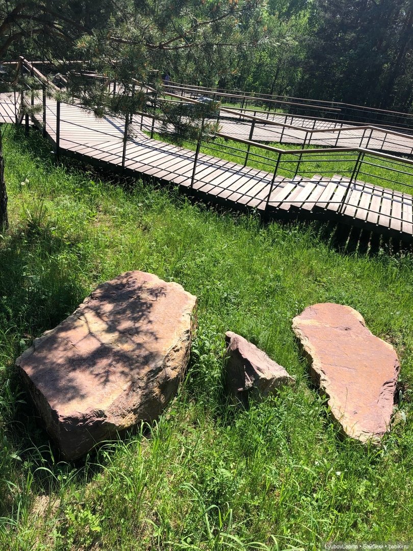 День Защиты детей или прогулка по эко-парку "Гремячая грива" г. Красноярск (фото 9)