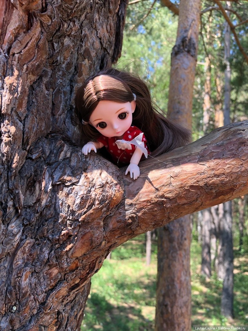 День Защиты детей или прогулка по эко-парку "Гремячая грива" г. Красноярск (фото 4)