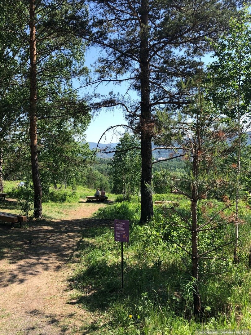 День Защиты детей или прогулка по эко-парку "Гремячая грива" г. Красноярск