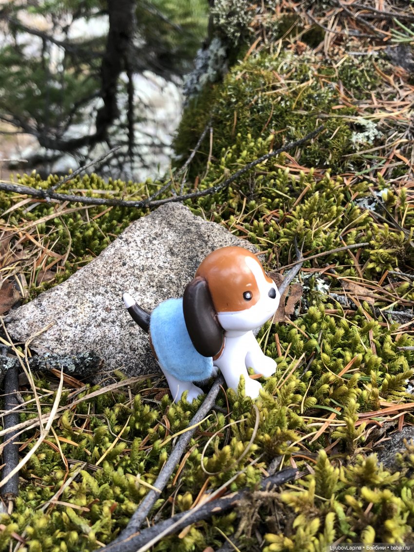 Золотая осень 2020г — Куклы Lottie (Лотти): Arklu (фото 9)