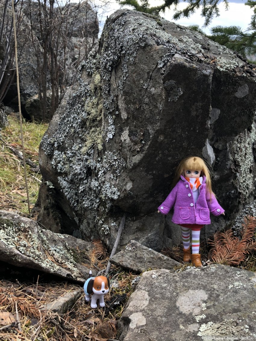 Золотая осень 2020г — Куклы Lottie (Лотти): Arklu (фото 6)