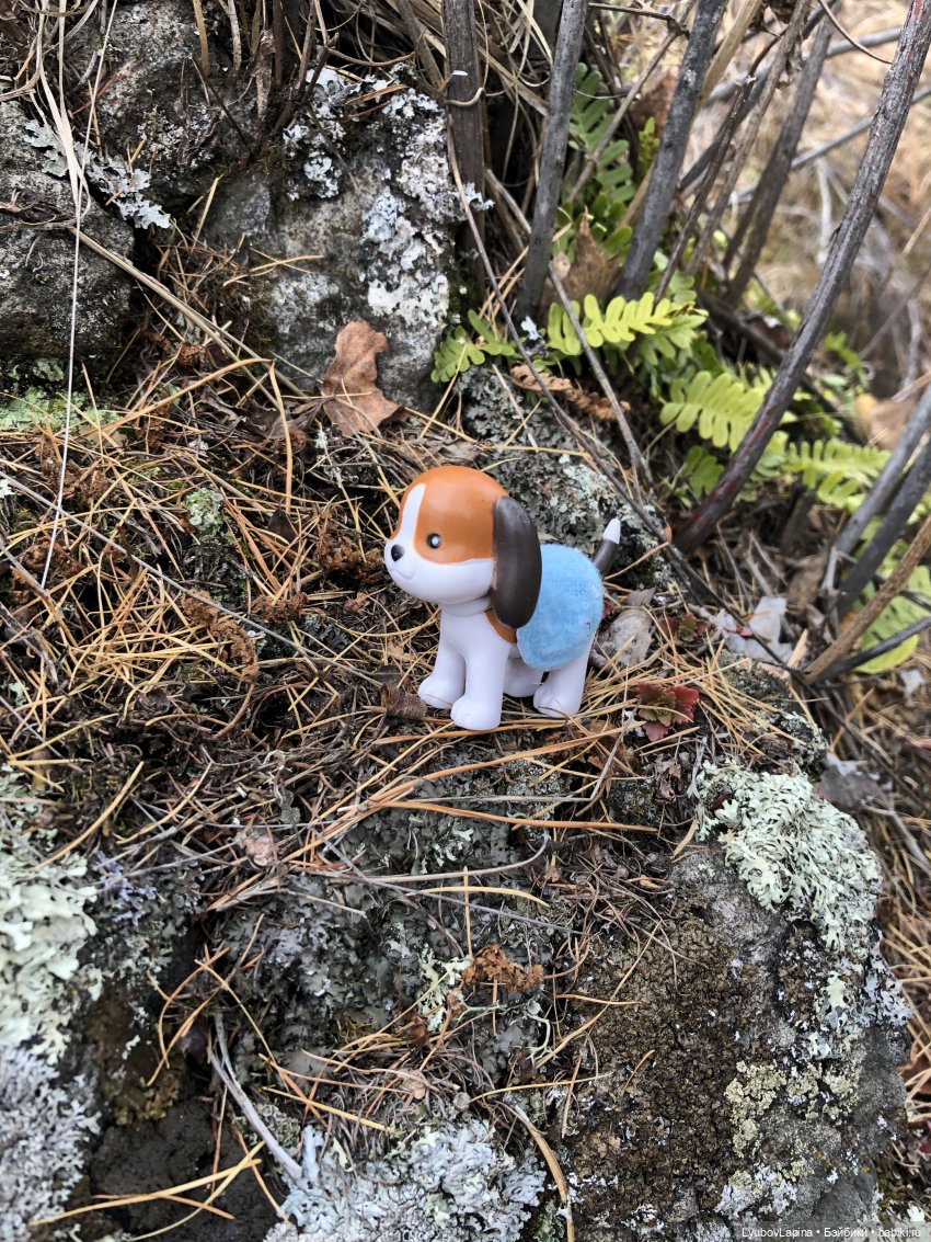 Золотая осень 2020г — Куклы Lottie (Лотти): Arklu