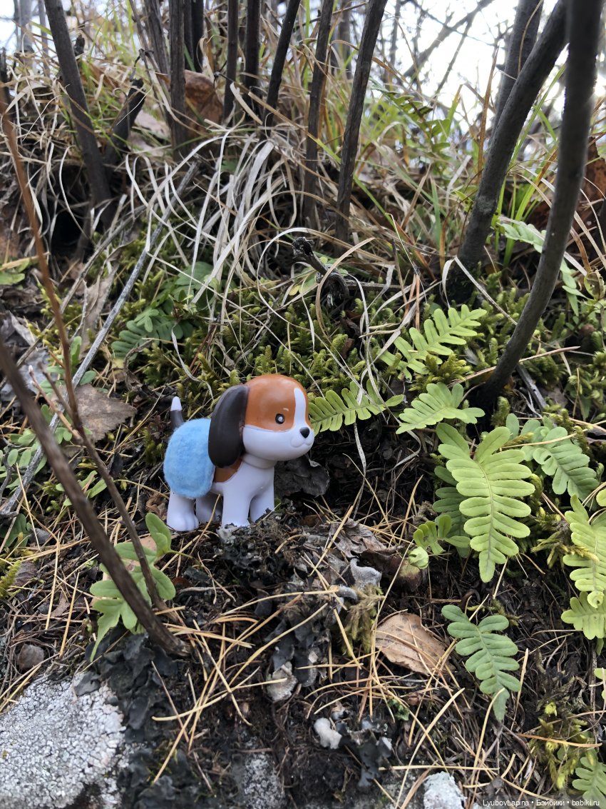 Золотая осень 2020г — Куклы Lottie (Лотти): Arklu