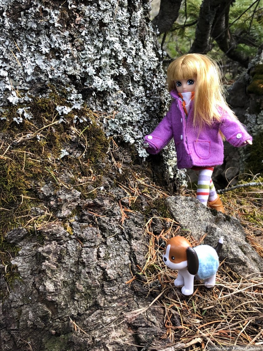Золотая осень 2020г — Куклы Lottie (Лотти): Arklu (фото 4)