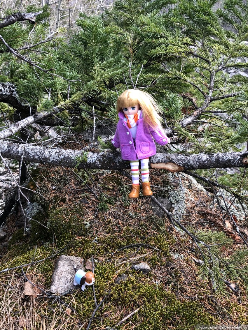 Золотая осень 2020г — Куклы Lottie (Лотти): Arklu