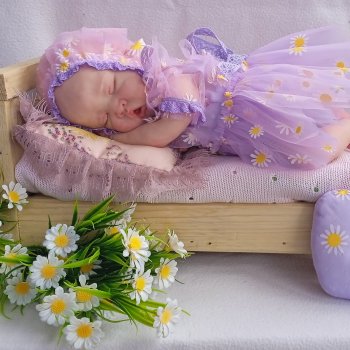 Мишель, моя любимка😍😍😍