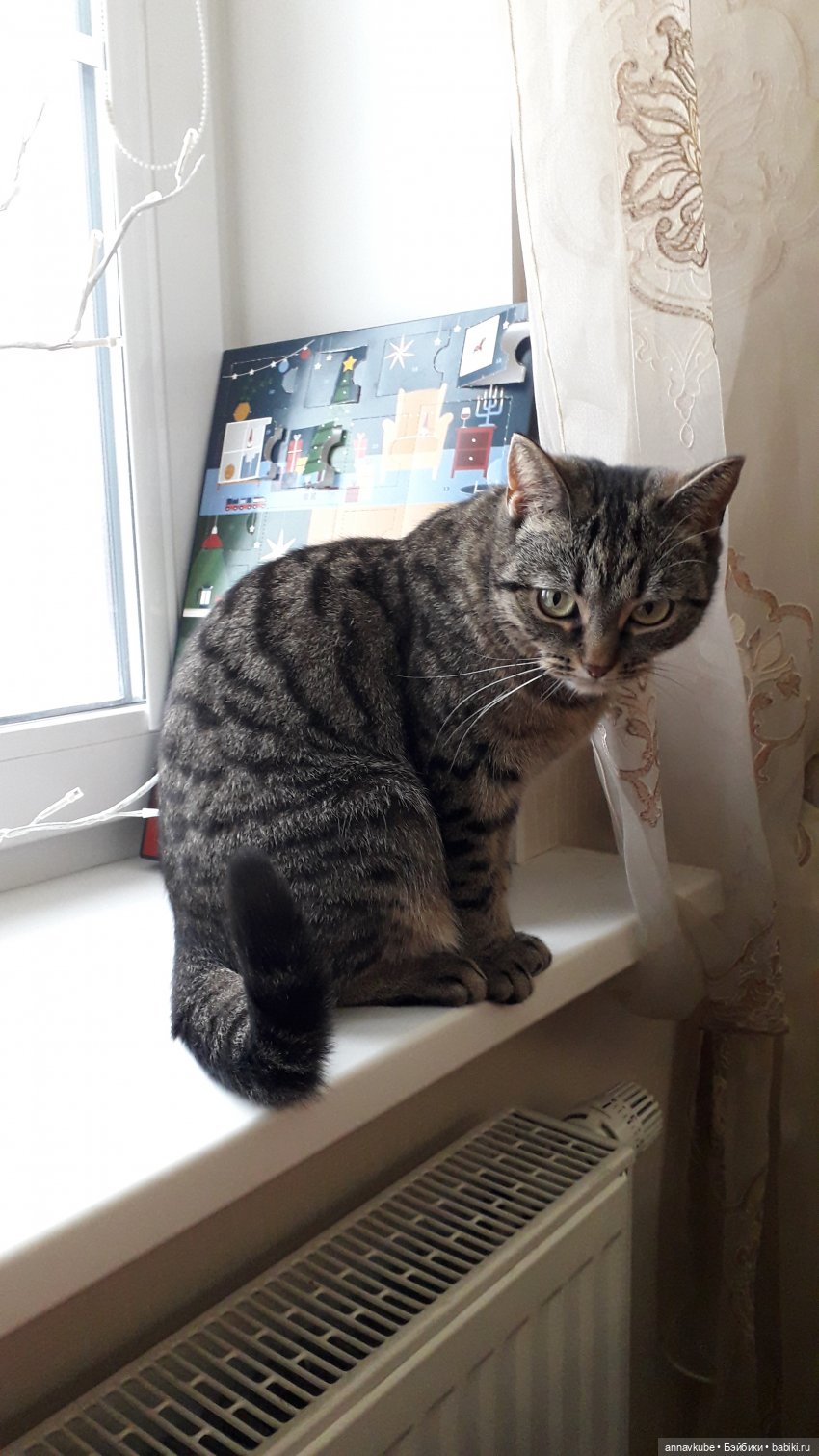 Один отважный периненок — Куклы Beatrice Perini (Беатрис Перини): эмоциональные дети (фото 4)