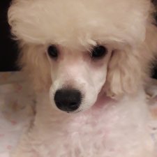 Прошу совета! Ужасное чудовище слопало руки