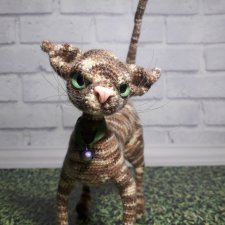 Кошки бывают разные