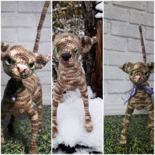 Близнецы....