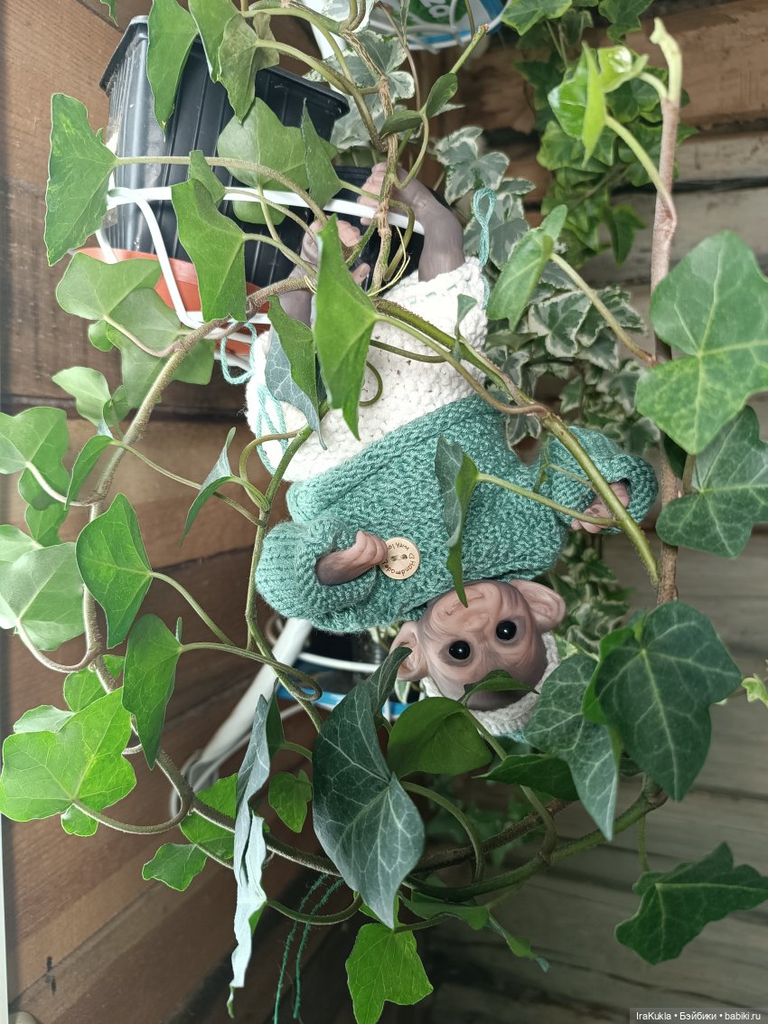 Арчи приехал | Бэйбики Арчи приехал — Куклы Реборн (Reborn): домашние фото (фото 2)