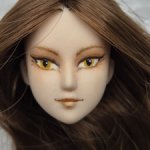 Голова Volks прошитая
