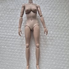 Тело женское шарнирное с али