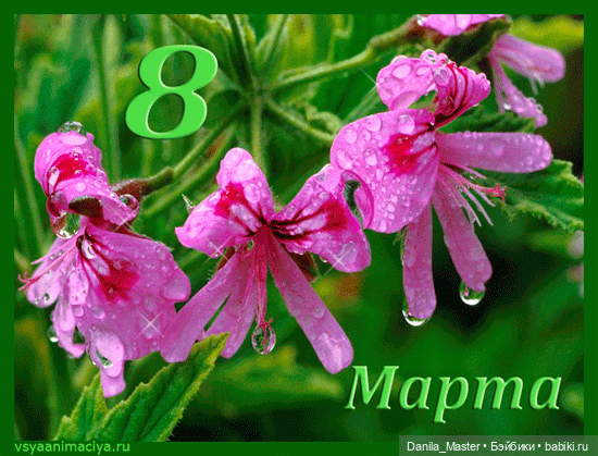 С Праздником, дорогие Волшебницы