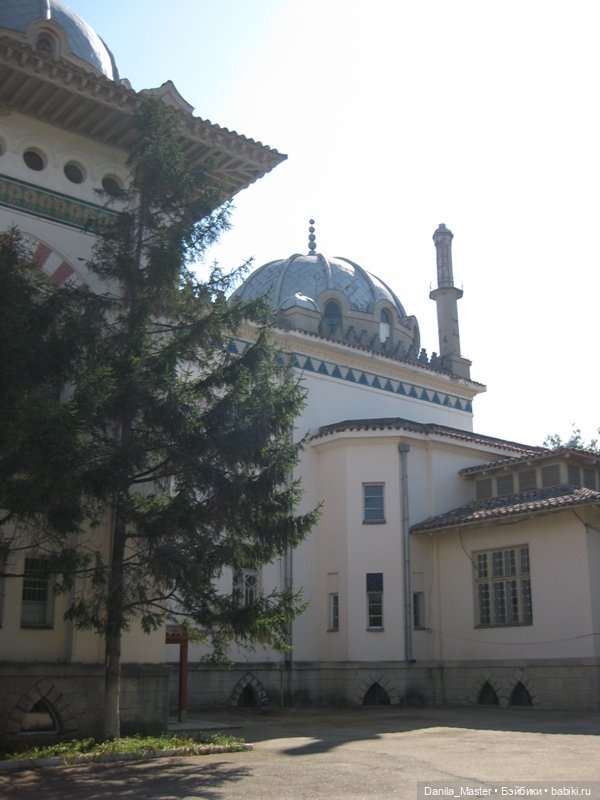 Про лето. Про Крым. Про беду. И про хороших людей. Дача Стамболи (фото 10)