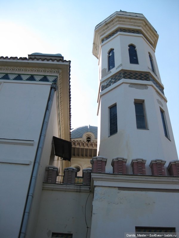 Про лето. Про Крым. Про беду. И про хороших людей. Дача Стамболи (фото 9)