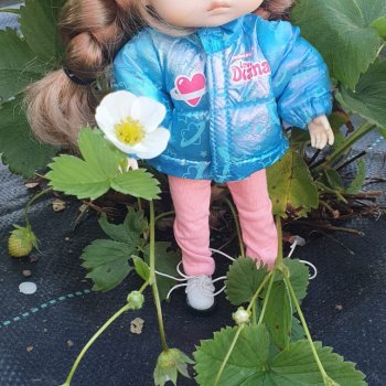 Как Симка ходила гулять